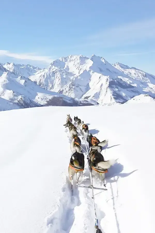 Escapada con Huskies - Trineo de perros en los Pirineos